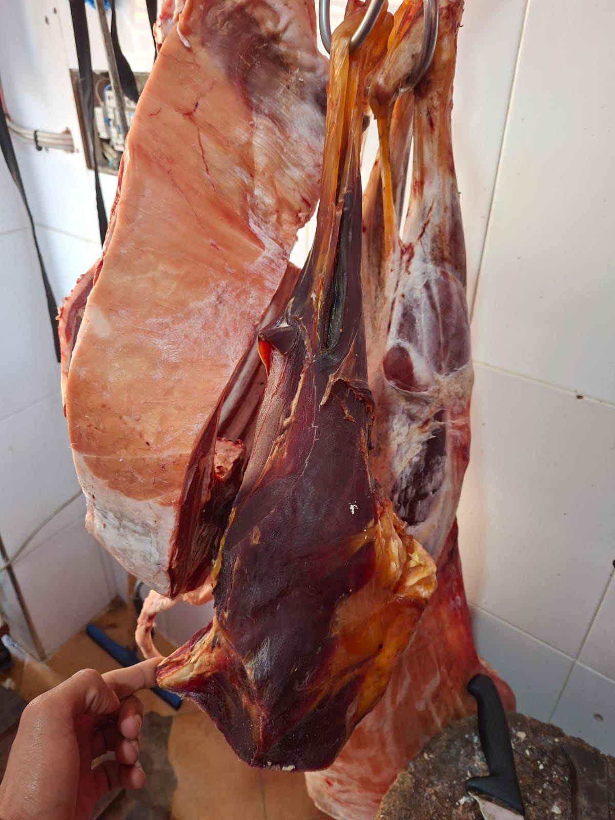 Sorry! Image not available at this time