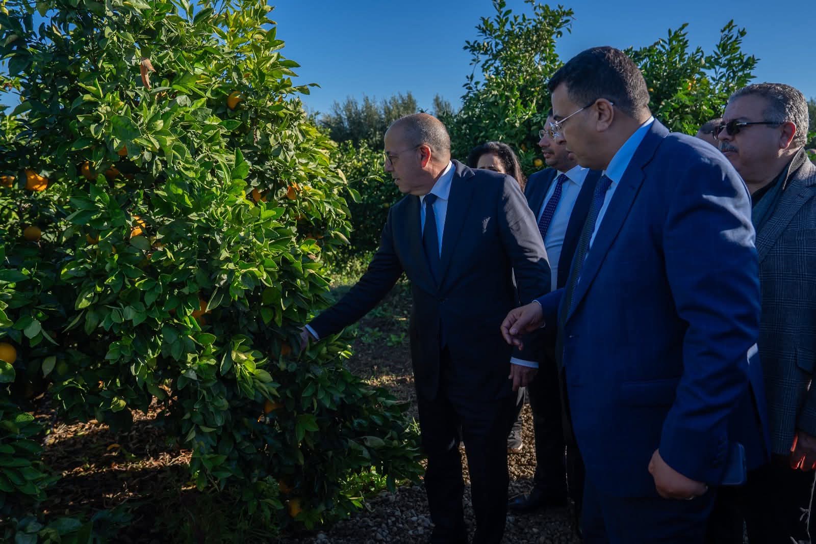 Sorry! Image not available at this time