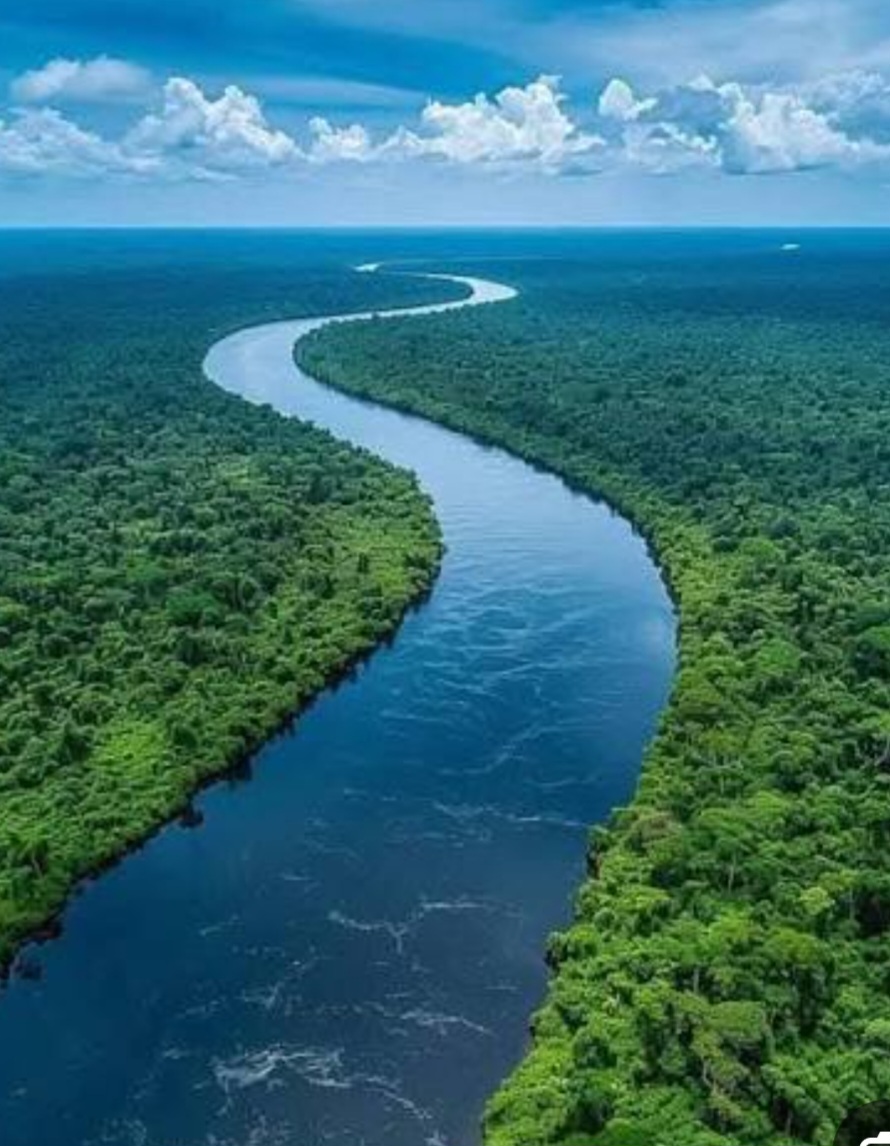 Sorry! Image not available at this time